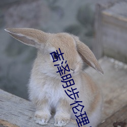 吉澤明步倫理片