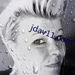 jdav11.com