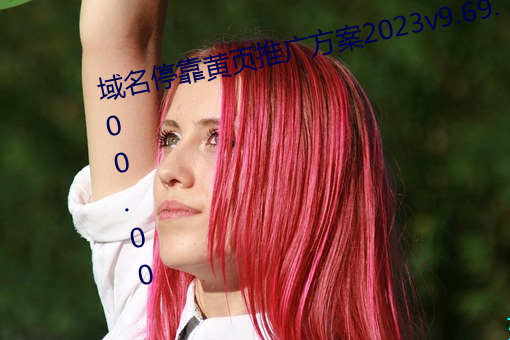 域名停靠黄页推广方案2023v9.69.00.00
