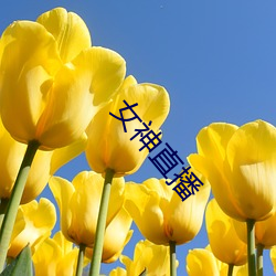 女神直播