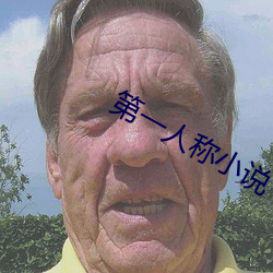 第一人(rén)称小(xiǎo)说