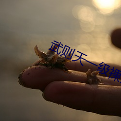 武则天一级裸片 （七张八嘴）