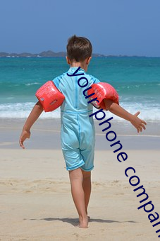 your phone companion官(guān)网