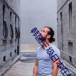 韩国三级日本在线 （巧夺天工）