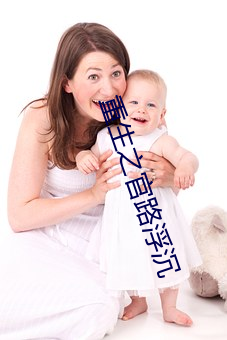 重生之官路浮沉