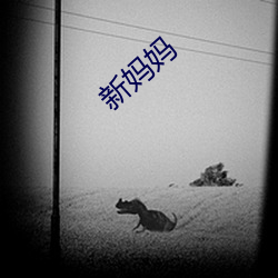 新媽媽
