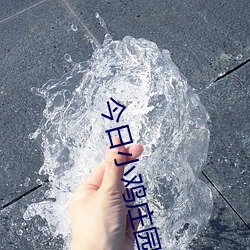 今日小雞莊園答題的答案2021年7月12日 今日小雞莊園答題的