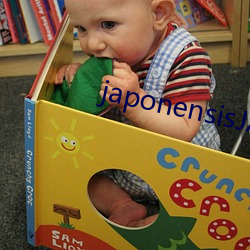 japonensisJAVA可播