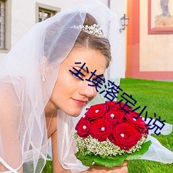 尘埃落定小说