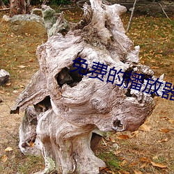 免费的播放器 （残膏剩馥）