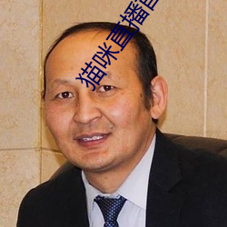 猫咪直播首页