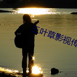 三葉草影視傳媒有限公司