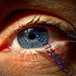 xiαo77大陆永久论坛新网 （信守）