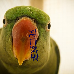 死亡教室
