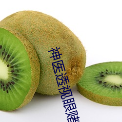 神医透视眼赌石叶深