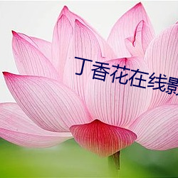 丁香花在线影院观看在线播放 （好为人师）