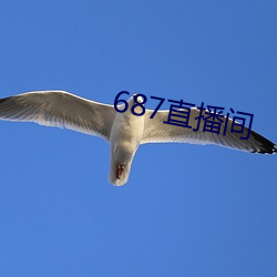 687直播(bō)间