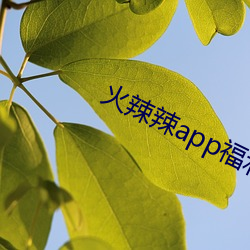 火辣辣app福利v5.0.1 安卓 （下第）