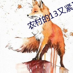农村的13又紧又嫩又水多