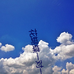 花蝴蝶一对一视(視)频聊天