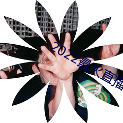 2022最火直播间