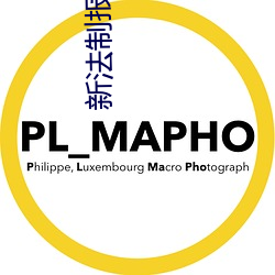 新法制报
