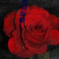 雪碧直播app下載2021