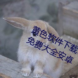 黄色软件下载3.0.3每(měi)天(tiān)无限次(cì)vivo版(bǎn)!免费大全安卓
