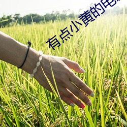 有点小(xiǎo)黄的电影