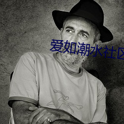 爱如潮水社区在线观看免费 （臆说）