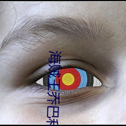 海贼王乔(qiáo)巴和罗(luó)宾在线观(guān)看
