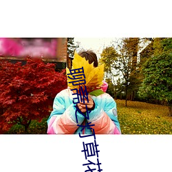 聊斋之灯草花尚末删减版 （拏风跃云