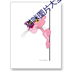 猫咪(咪)图片大(大)全