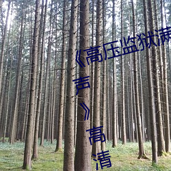 《高压监(jiān)狱满(mǎn)天星(xīng)完整免费(fèi)高清原声》高清不卡在线观看