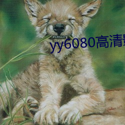 yy6080高(高)清影院理论(論)午(午)夜