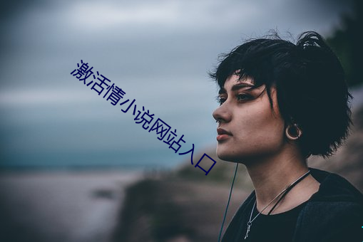 激活情小说网站入口 （家家户户）