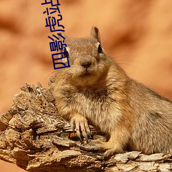 金年会 | 诚信至上金字招牌