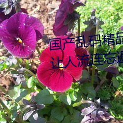 国产乱(亂)码精品(品)一(一)区二区三区麻(麻)豆让人(人)流连忘(忘)返
