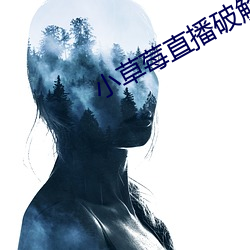 小草莓直播破解版