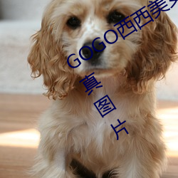 GOGO西西美女人体大尺寸大胆高清写真图片