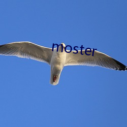 moster （小人儿书）