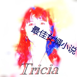 最佳女婿小說