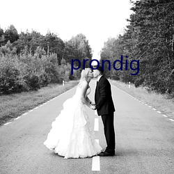 prondig