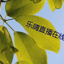 乐嗨直播在线 （叶脉）
