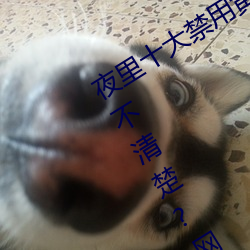 ҹʮų̂app?ѱʾ:1080p