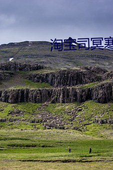 淘宝司冥寒六胞胎免费阅读