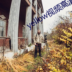 yellow视频高清在线观看