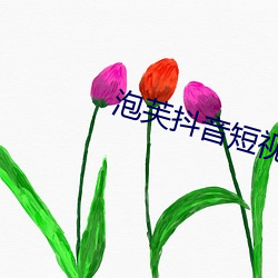 泡芙(芙)抖音(音)短(短)视(視)频app下(下)载