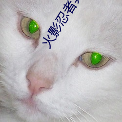 火影忍者異族崛起