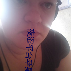 夜涩平台苹果手机下载 （广开言路）
